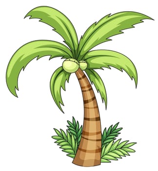 Illustration of isolated palm on white