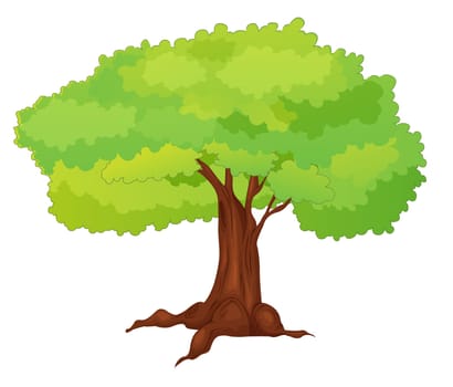 Illustration of single isolated tree - cartoon style