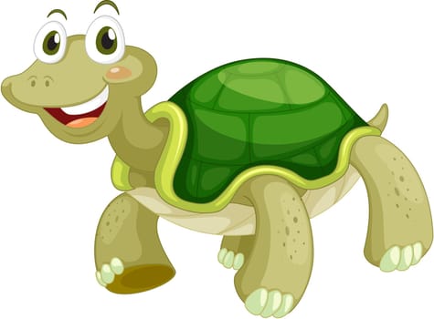 Animated turtle on a white background