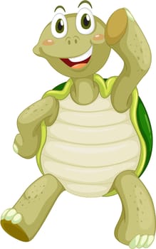 Cute turtle on a white background