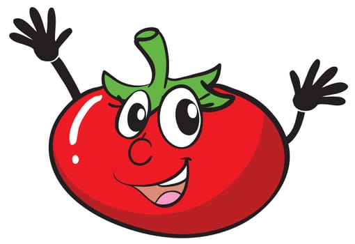 illustration of a tomato on a white background