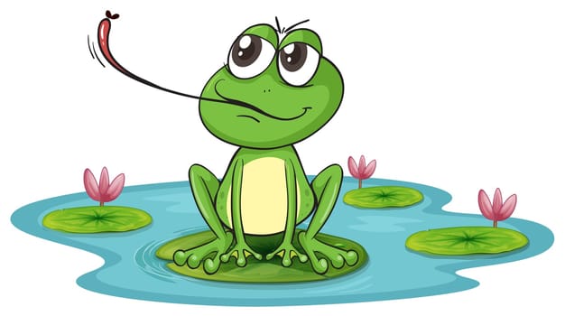 illustration of a frog on a white background