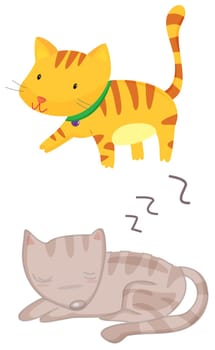 llustration of two cats on white