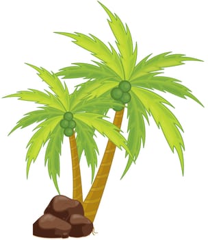 an illustration of an isolated palm tree with coconuts
