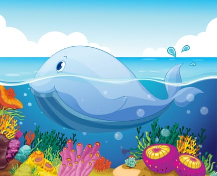 illustration of a fish and coral in the sea