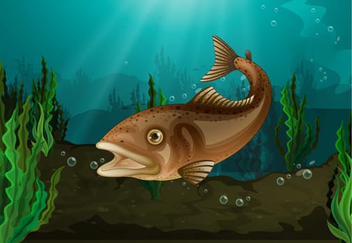 Freshwater fish in underwater habitat