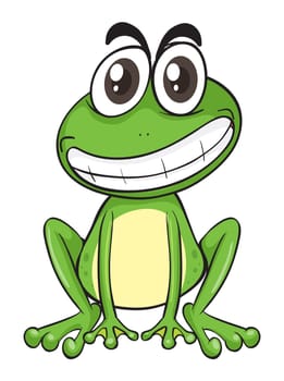 illustration of a frog on a white background
