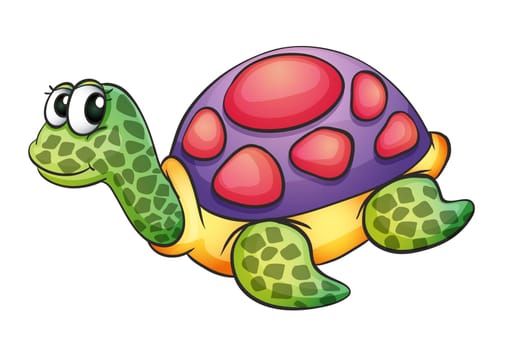 illustration of a tortise in a white background