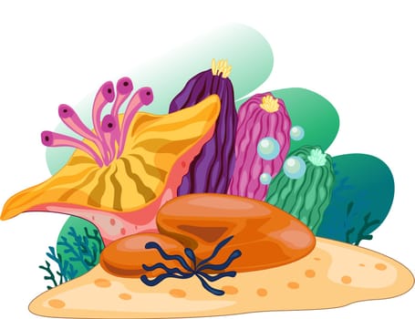 Illustration of sea plant on white