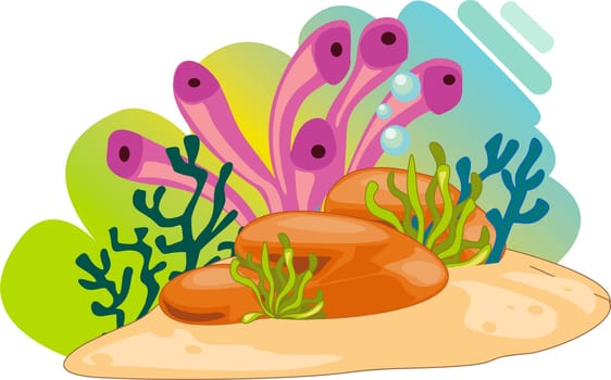 illustration of sea plant on white