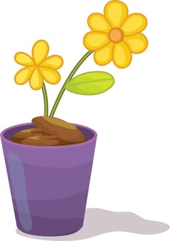 Yellow flowers in purple flower pot
