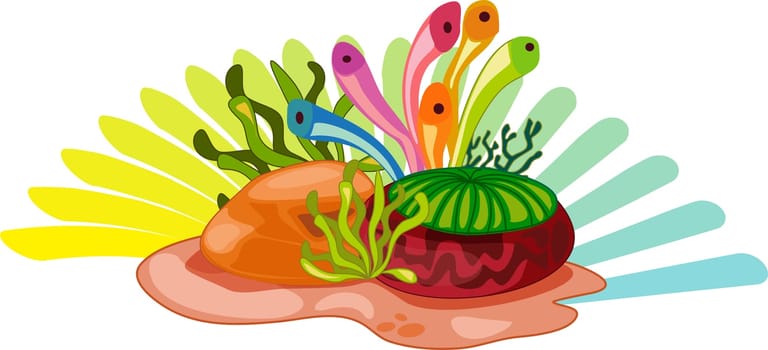 Colourful aquatic plants on white background