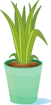 Tall green leaves inside a green flower pot