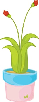Illustration of plant in a pot