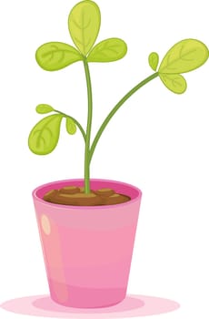 Leafy plant inside a pink flower pot