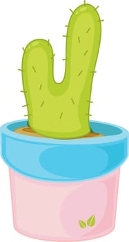 Illustration of cactus in a pot