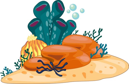 illustration of sea plant on white