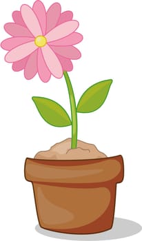 Pink flower in full bloom inside pot