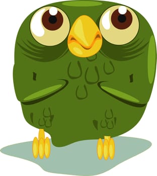 An old owl close up