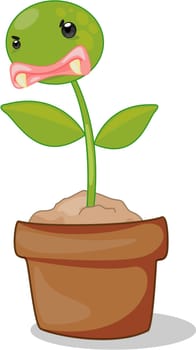 illustration of flower pots on white