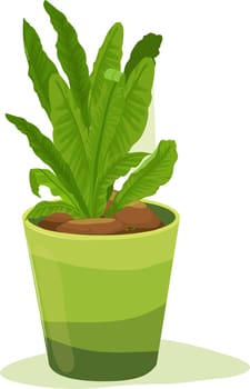 Leafy plant inside a pot