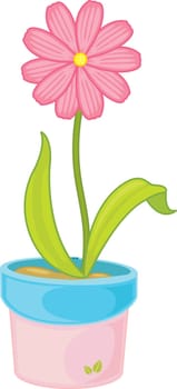 Pink flower in a plower pot