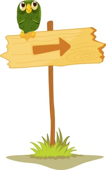 Owl on a directional post