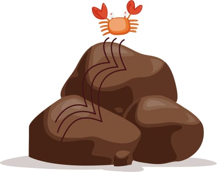 illustration of crab on rocks