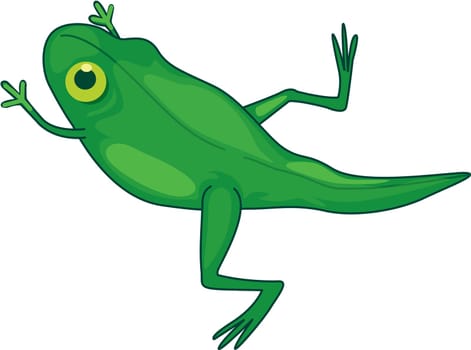 Illustration of  a cartoon frog on white