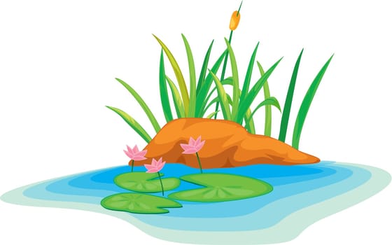 illustration lotus flowers