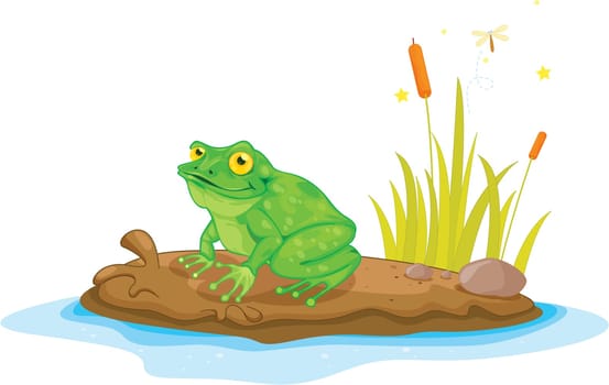 Illustration of  a cartoon frog on white