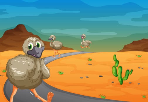 illustration of three emu passing on road