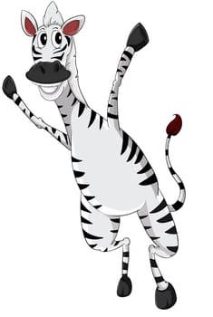 Cartoon zebra on white background