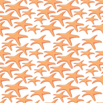 illustration of starfish on a white background