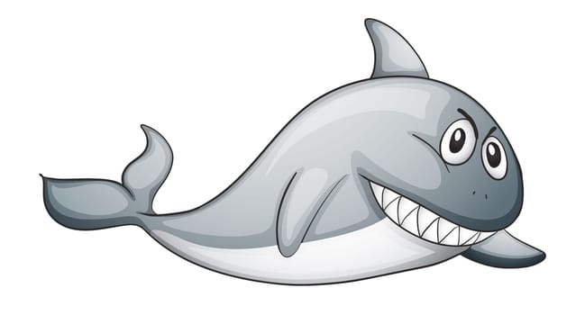 illustration of a shark on a white background