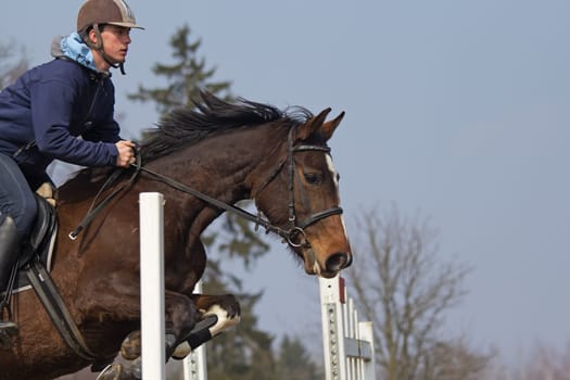 TRESTINA - MAR 30: Jitka Vezelska in action at "The first spring Equestrian Championship"" on March 31, 2013 in Trestina (Czech Republic)"