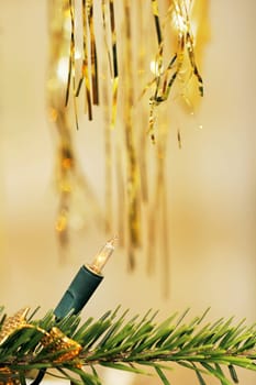 Golden tinsel on Christmas tree