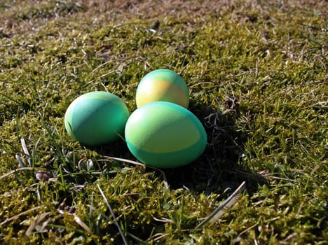 Three green Easter eggs in moss