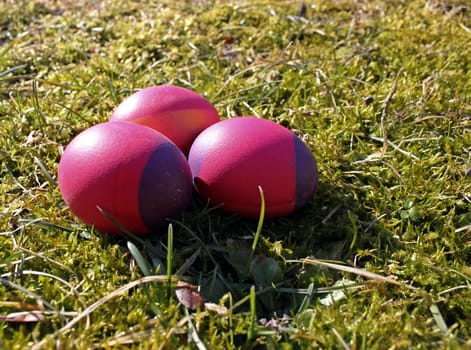 Three red Easter eggs in moss