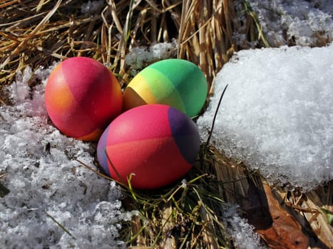 Easter eggs in the snow