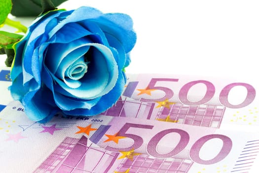 Money and blue rose