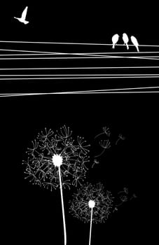 High contrast cables and birds, blown dandelion on black background. Vector file layered for easy manipulation and custom coloring.