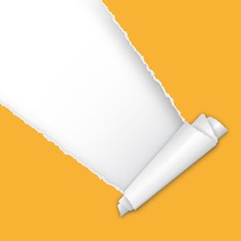 Torn paper with copy space