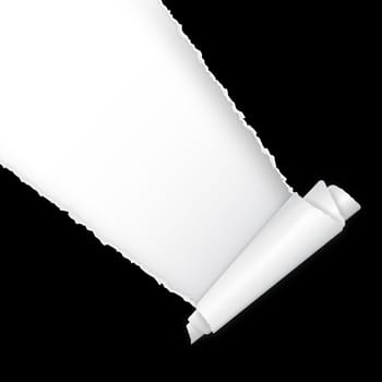 Torn paper with copy space