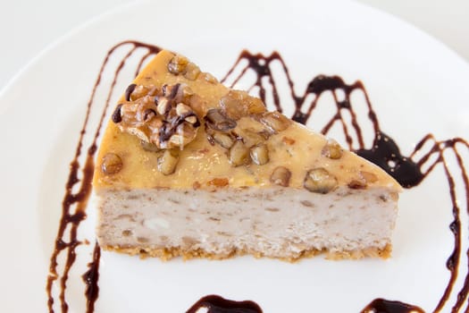 Walnut Cheesecake Slice with Dark Chocolate Drizzle on White Plate Closeup