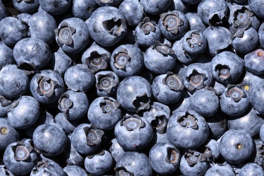 Blueberries