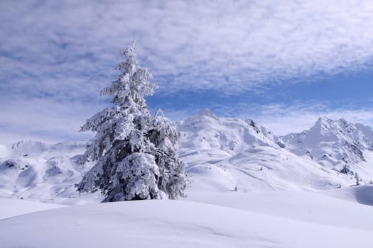 Winter dream in the Klostertal. Vorarlberg