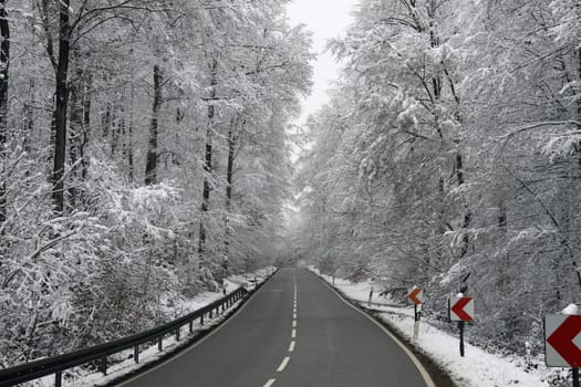 Road in winter