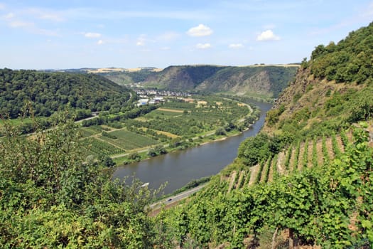 Moselle Valley