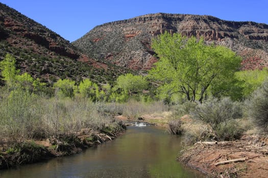 View along the Jemez River in New Mexico with cottonwood trees